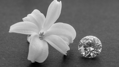 Comparing Round And Oval Diamonds