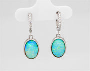 Opal Drop Earrings in 14k white gold