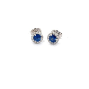 Sapphire and Diamond Stud Earrings in 14k white gold