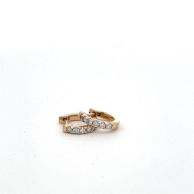 Plateau Jewelers Small Hoop Earring in 14k Yellow Gold