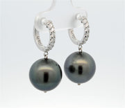 Small Diamond Hinged Hoop Earrings in 14k White Gold with Tahitian Pearl drops